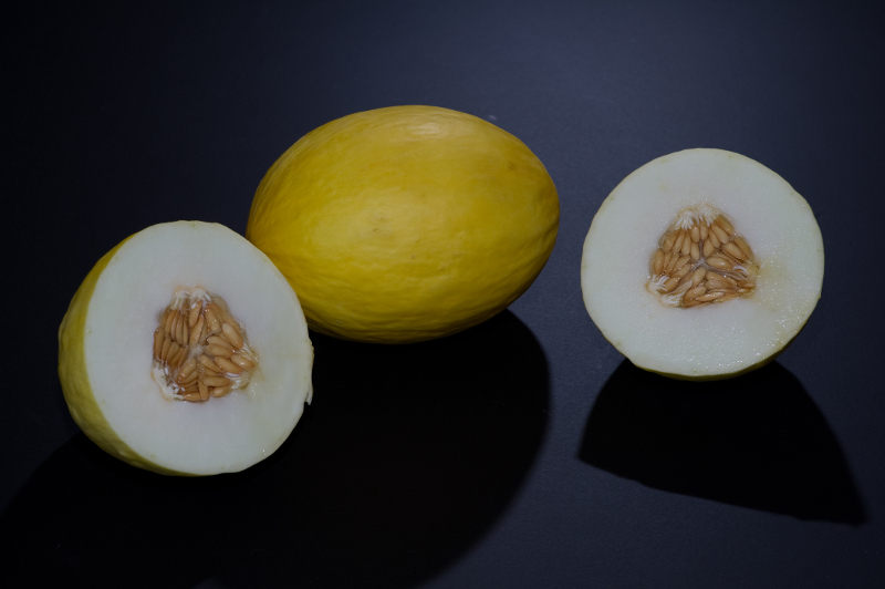 Melonensamen Canary - zum Schließen ins Bild klicken