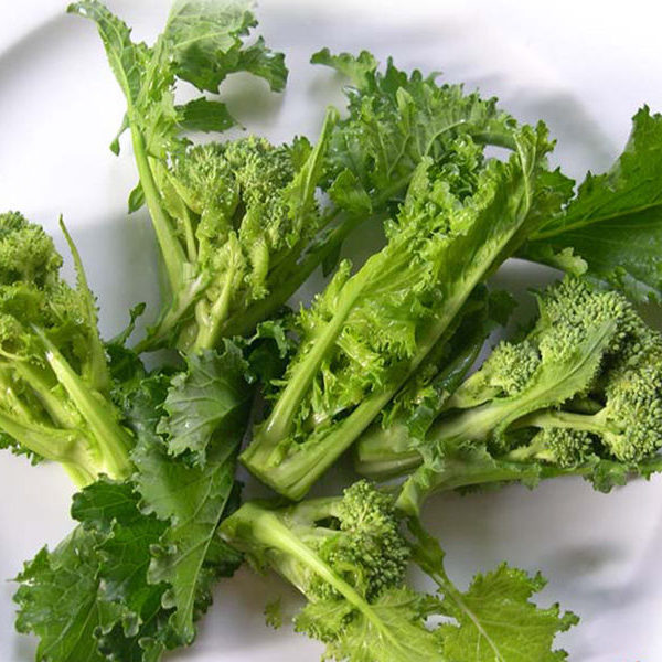 Cavolo Broccolo Riccio di Sarno semi - Clicca l'immagine per chiudere