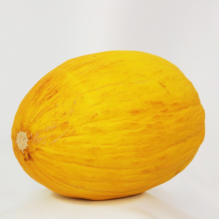 Melone di Lanzarote semi