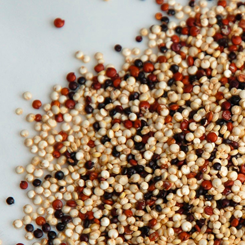 Quinoa Mix semi