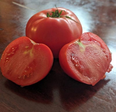 Pomodoro Tatura seeds