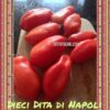 10d1 Pomodoro 10 dita di Napoli semi