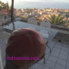 Pomodoro Belmonte Calabro Costoluto Gigante semi