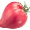 Pomodoro Belmonte Calabro Cuore di Bue semi
