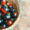 blue tomato 1 (1) Pomodoro Blu Naturale semi