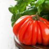 Pomodoro Canestrino di Lucca semi