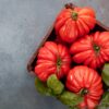 Pomodoro Canestrino di Lucca semi