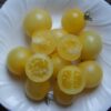 Pomodoro Ciliegino Avorio semi