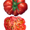 Costoluto fiorentino Pomodoro Costoluto Fiorentino semi