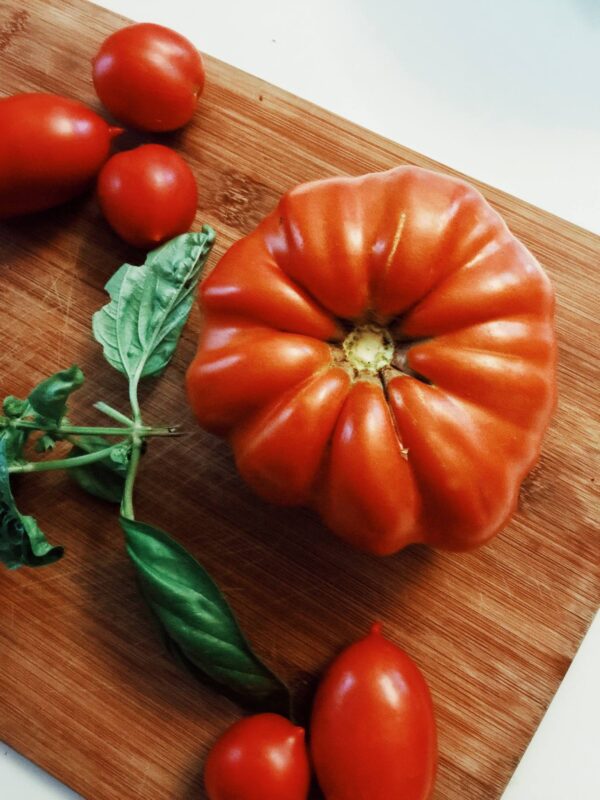 costoluto fiorentino (1) Pomodoro Costoluto Fiorentino semi