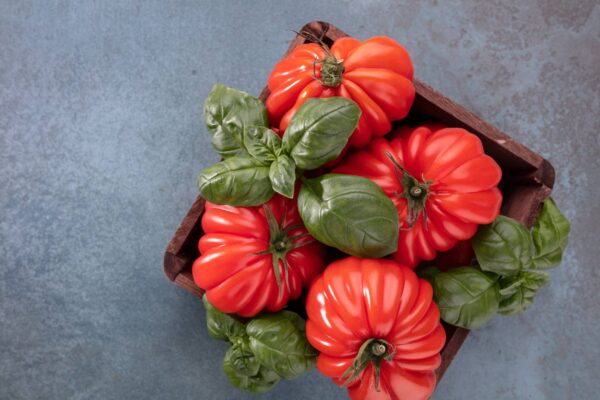 costoluto genovese 2 (1) Pomodoro Costoluto Genovese