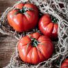 cuore albenga (1) Pomodoro cuore di bue di Albenga semi