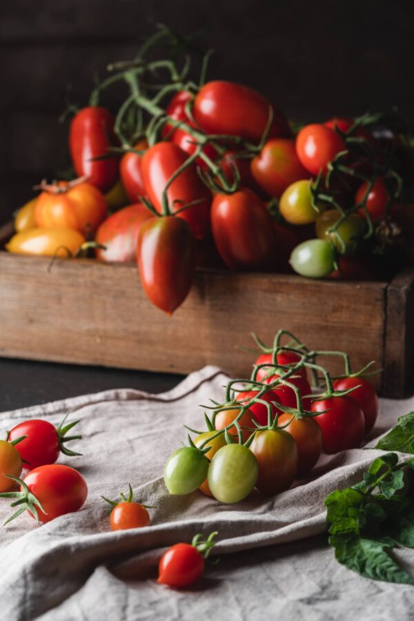 datt1 (1) Pomodoro Datterino Rosso semi