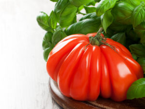 Fresh tomato with basil on old wooden board. Pomodoro Abruzzese a pera semi