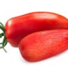 Pomodoro da salsa Tuttosemi semi