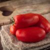 Pomodoro da salsa Tuttosemi semi