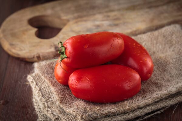 Pomodoro da salsa Tuttosemi semi