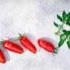 Pomodoro San Marzano Selezione Gigante semi