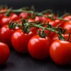 TOND MAR 2 Pomodoro Tondo Maremmano semi