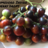chd Pomodoro Indigo Cherry Drops semi