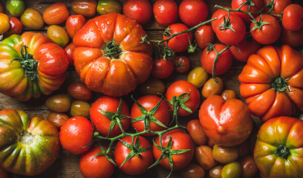 pomodori rario Pomodoro Selezione Antica Spagna Varieta' Miste semi