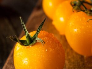 Pomodoro Golden Nugget semi