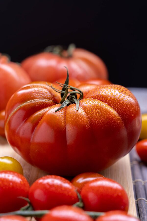 Pomodoro Panoncina - Ladino di Pannocchia semi