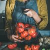 Pomodoro Muchamiel da Alicante semi