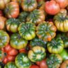 muchamiel collo verde Pomodoro Muchamiel collo verde semi