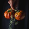 Pomodoro Muchamiel da Alicante semi