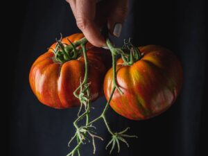 Pomodoro Muchamiel da Alicante semi