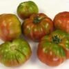 muchgg Pomodoro Muchamiel collo verde semi