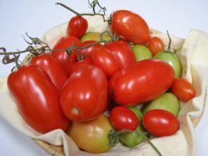 Pomodoro Piacentino Nano semi