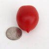 Pomodoro Piennolo del vesuvio di Agerola semi