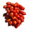 Pomodoro Piennolo del vesuvio di Agerola semi