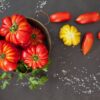 Pomodoro Pisanello semi
