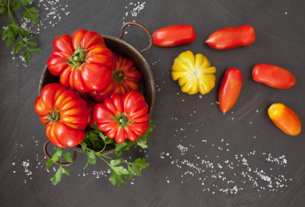 Pomodoro Pisanello semi