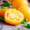 ponde (1) Pomodoro Ponderosa giallo da serbo siccagno semi