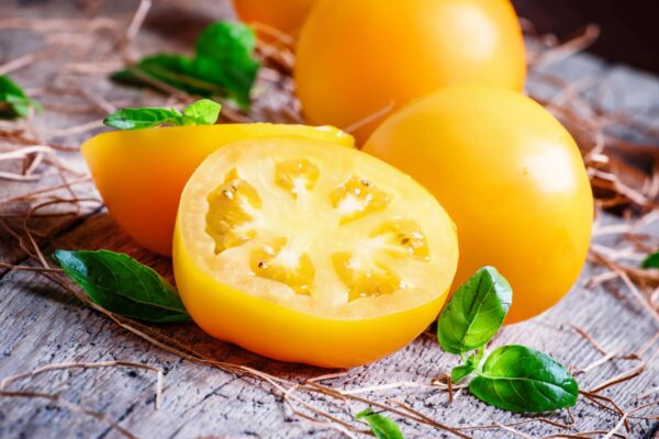 ponde (1) Pomodoro Ponderosa giallo da serbo siccagno semi