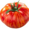 red zebra Pomodoro Red zebra semi
