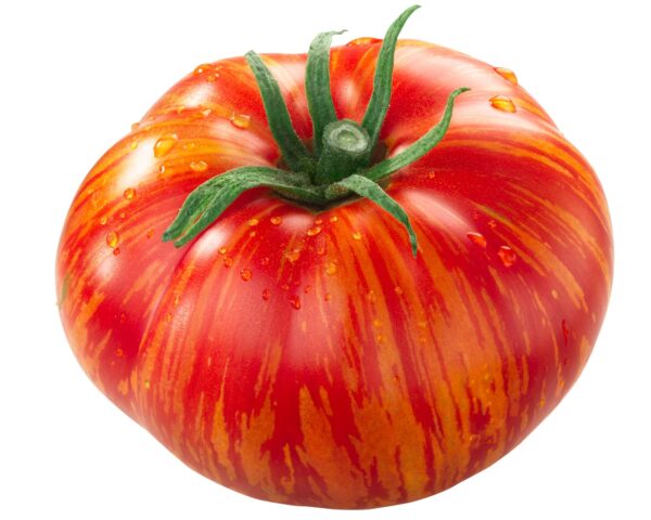red zebra Pomodoro Red zebra semi