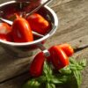 Pomodoro Rio Grande da salsa semi