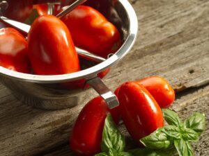 rio grande Pomodoro Rio Grande da salsa semi