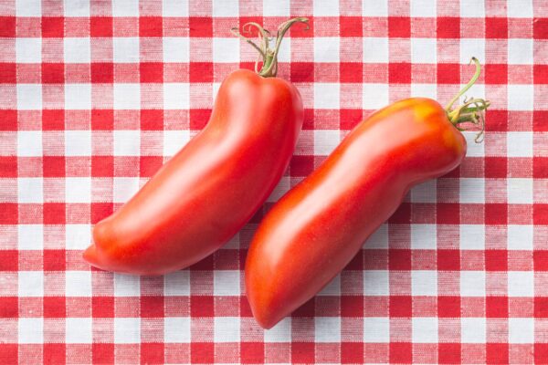 san marzano Pomodoro San Marzano Alto semi