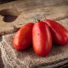 san marzano1 Pomodoro San Marzano Alto semi