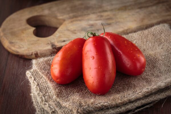 san marzano1 Pomodoro San Marzano Alto semi