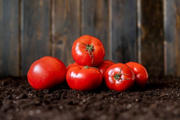 san pietro 2 Pomodoro Rosso di San Pietro semi