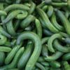 cetriolo armeno semi Cetriolo Armeno o cetriolo serpente