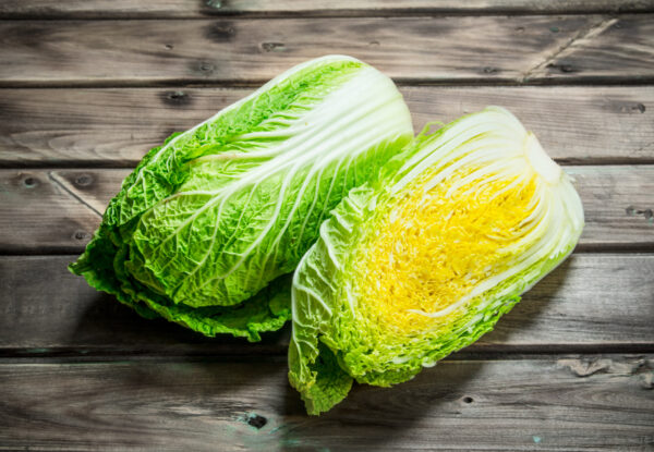 Fresh big cabbage. Cavolo Cinese Wong Bok Napa Semi
