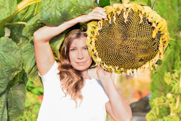 girasole gigante Girasole Gigante della Mongolia semi